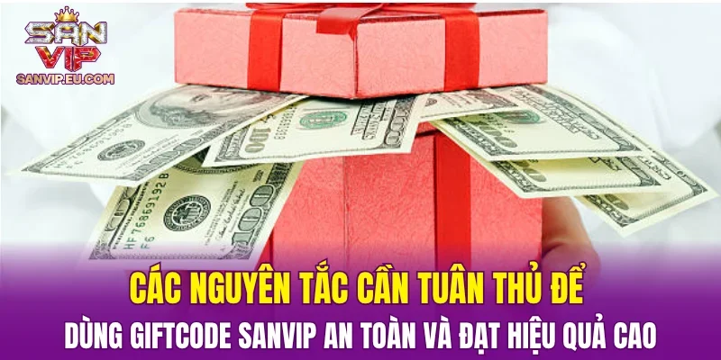 Các nguyên tắc cần tuân thủ để dùng giftcode SANVIP an toàn và đạt hiệu quả cao