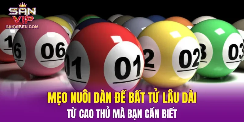 Mẹo nuôi dàn đề bất tử lâu dài từ cao thủ mà bạn cần biết